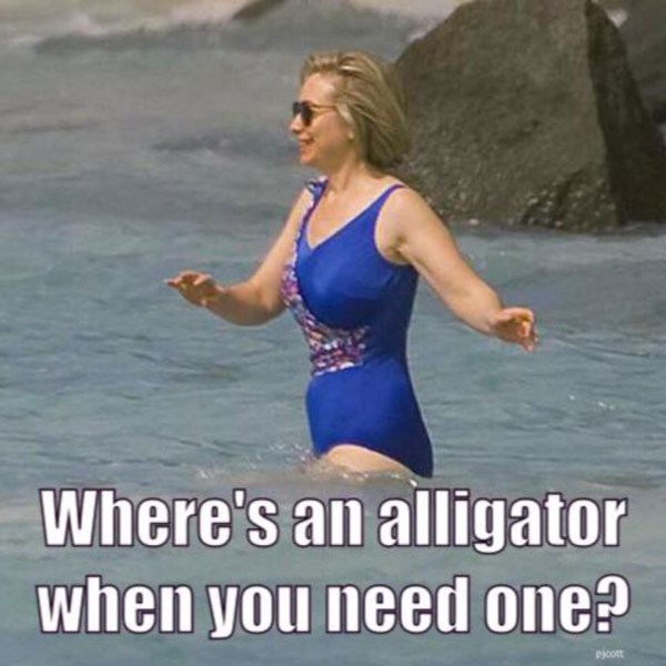 Hillary-Alligator-copy