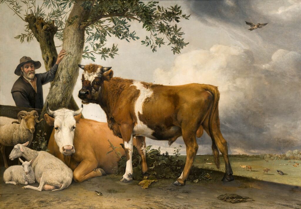 Paulus Potter. young bull